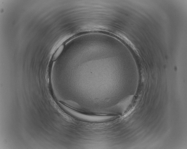 X0000076380885200610161112