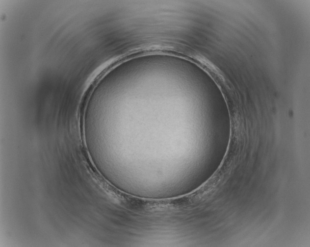 X0000076380886200610161112