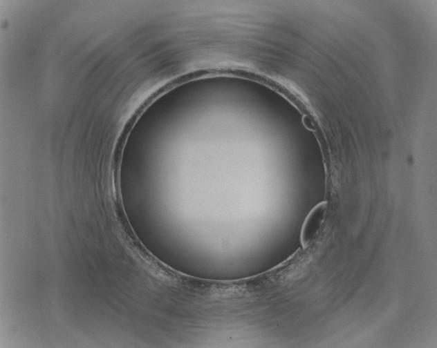 X0000076380887200610161112