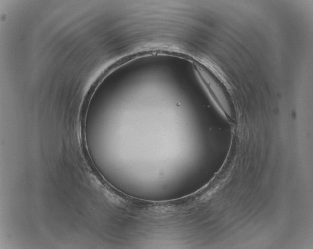 X0000076380888200610161112