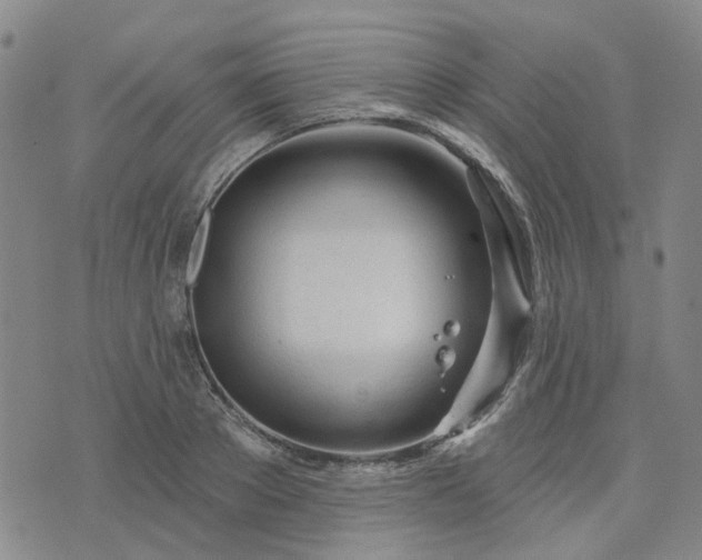 X0000076380889200610161112