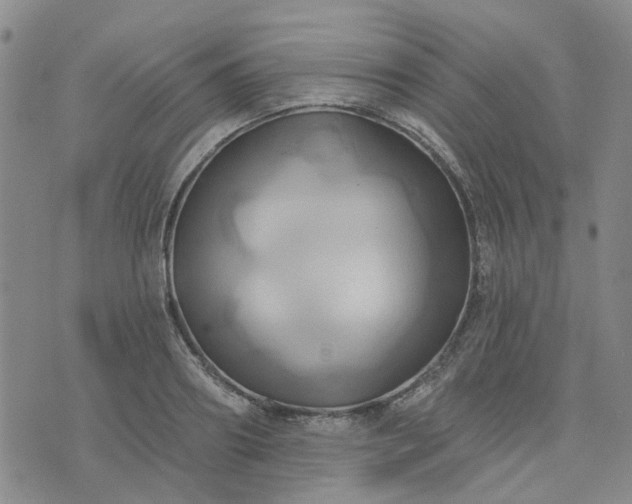 X0000076380890200610161112