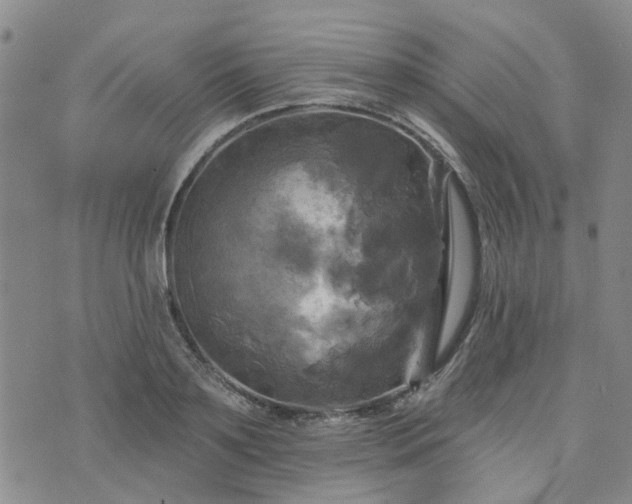 X0000076380891200610161112