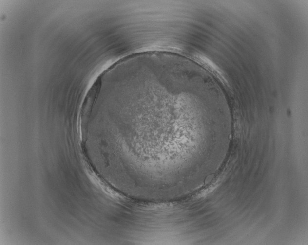 X0000076380892200610161112