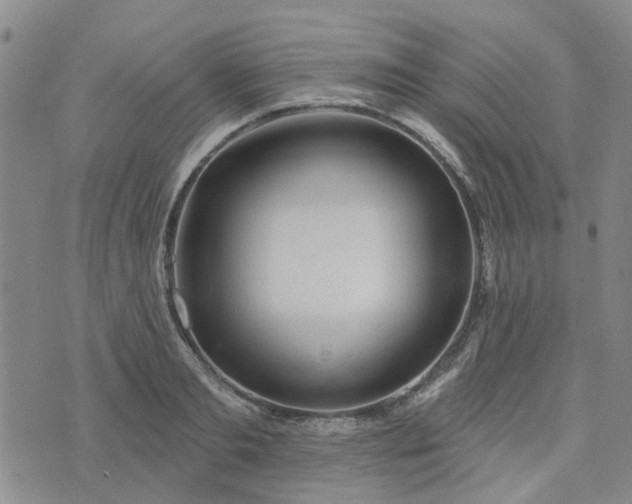 X0000076380893200610161112