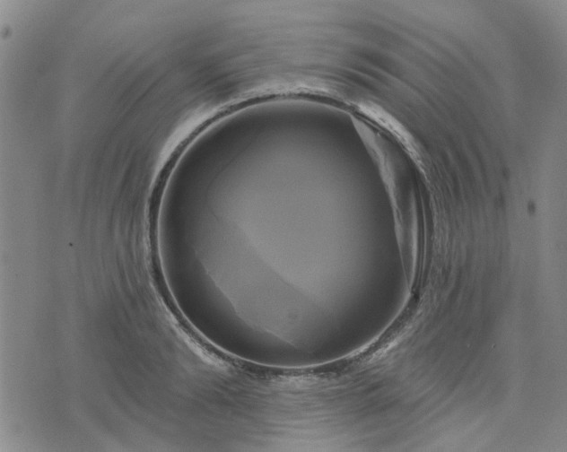 X0000076380894200610161112