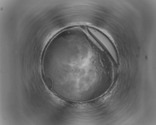 X0000076380895200610161112