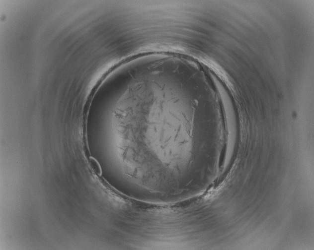 X0000076380896200610161112