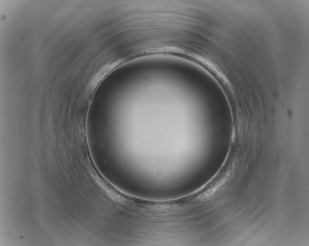 X0000076380897200610161112