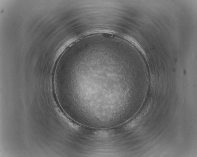 X0000076380898200610161112