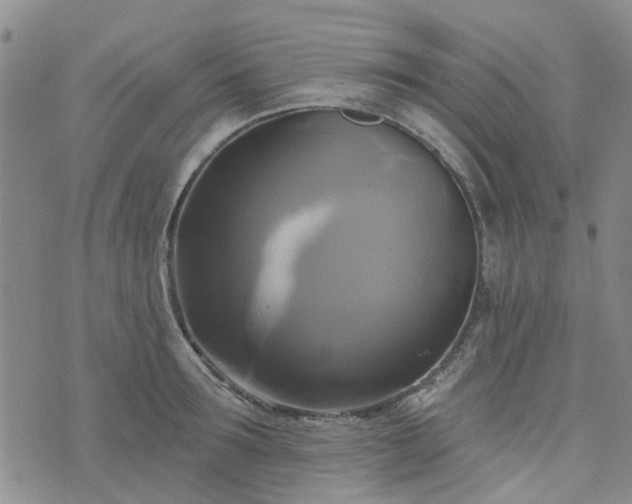 X0000076380899200610161112