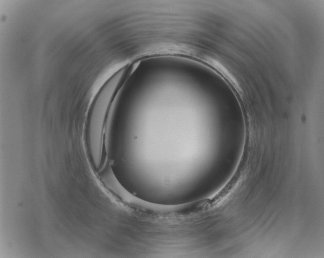 X0000076380901200610161112