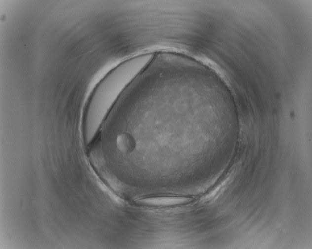 X0000076380902200610161112