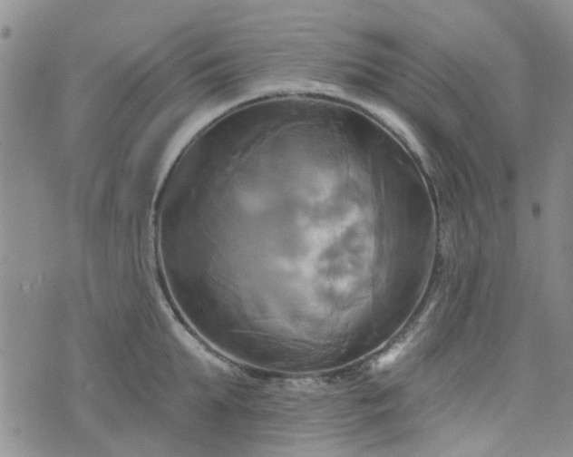 X0000076380903200610161112