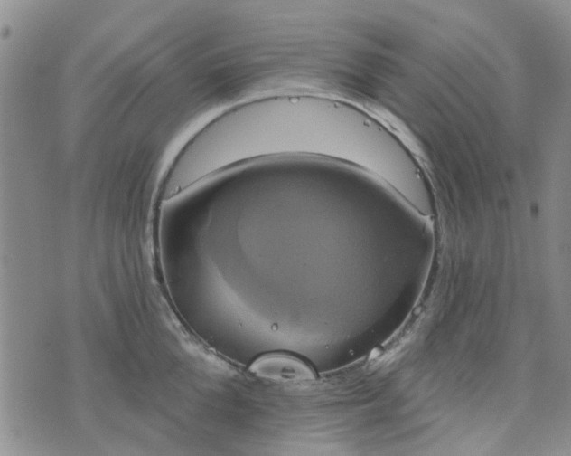 X0000076380904200610161112