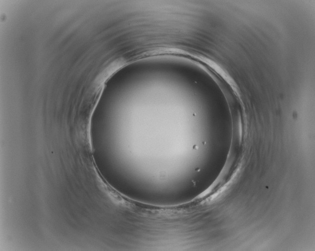 X0000076380905200610161112