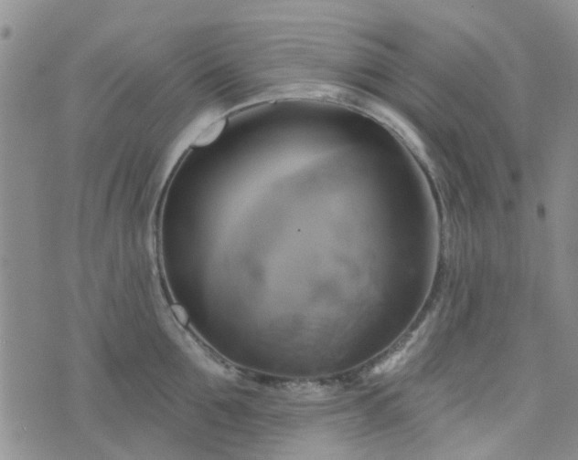 X0000076380907200610161112