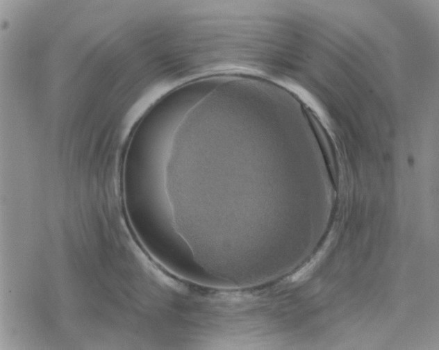 X0000076380910200610161112