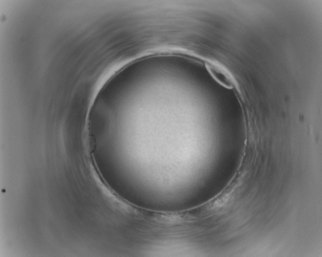 X0000076380911200610161112