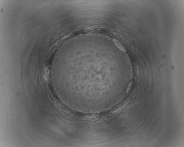 X0000076380914200610161111