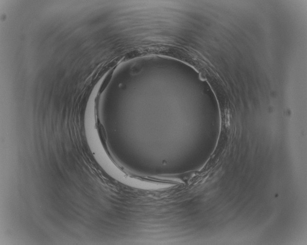 X0000076380915200610161111