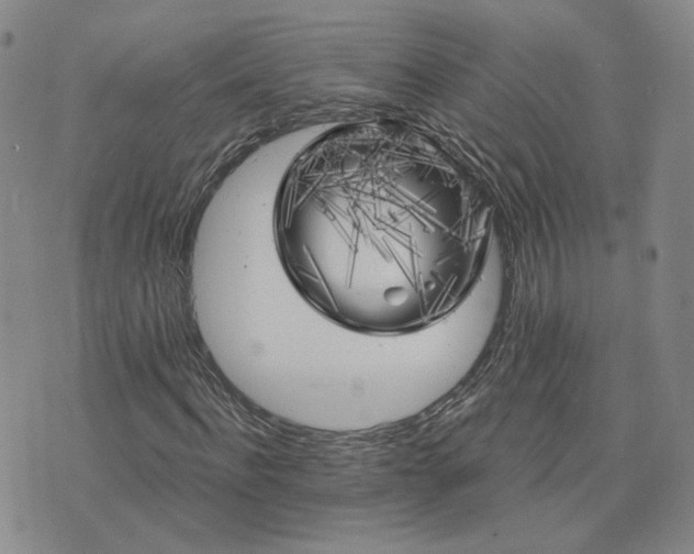 X0000076380916200610161111