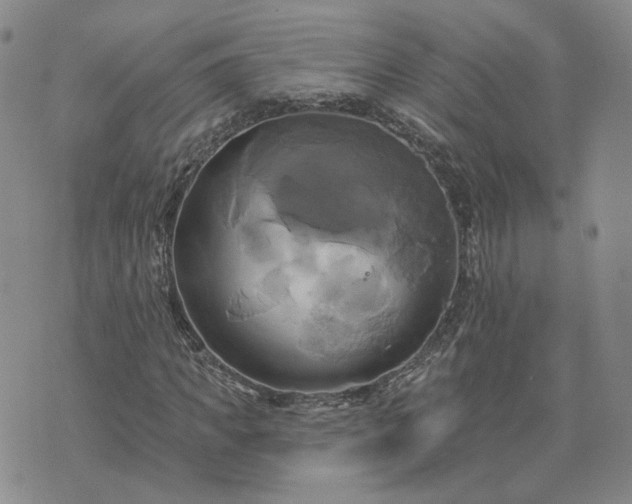 X0000076380917200610161111