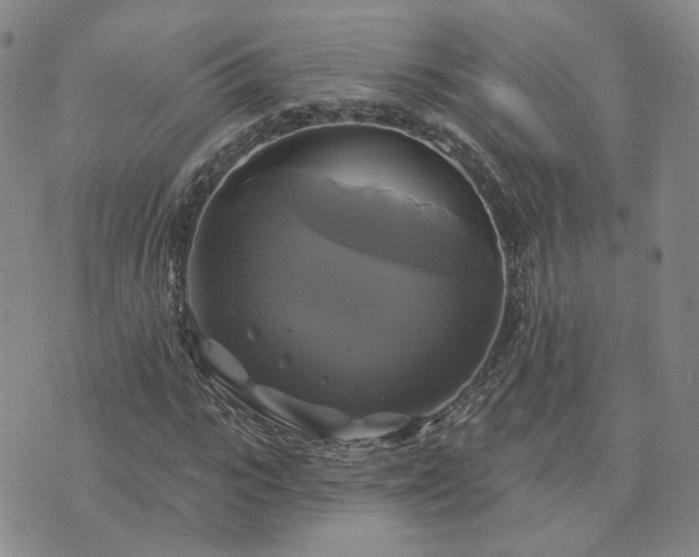 X0000076380919200610161111