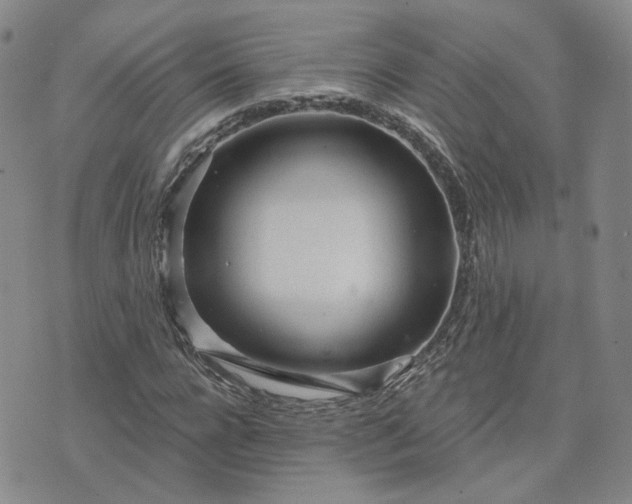 X0000076380920200610161111