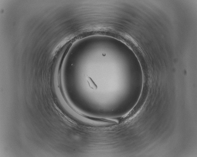 X0000076380922200610161111