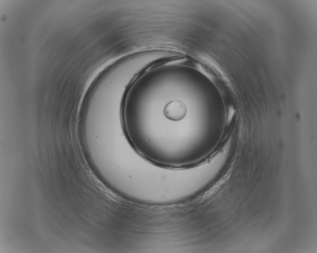 X0000076380924200610161111