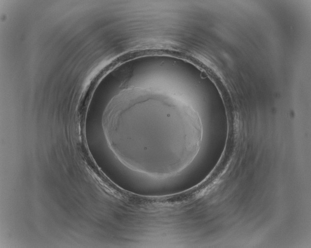 X0000076380925200610161111