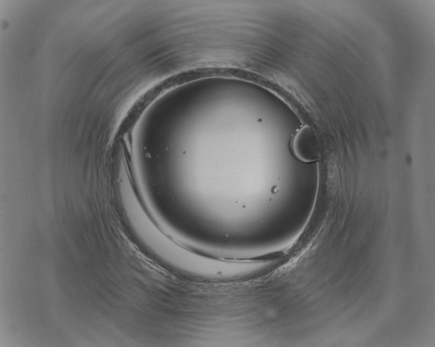 X0000076380926200610161111