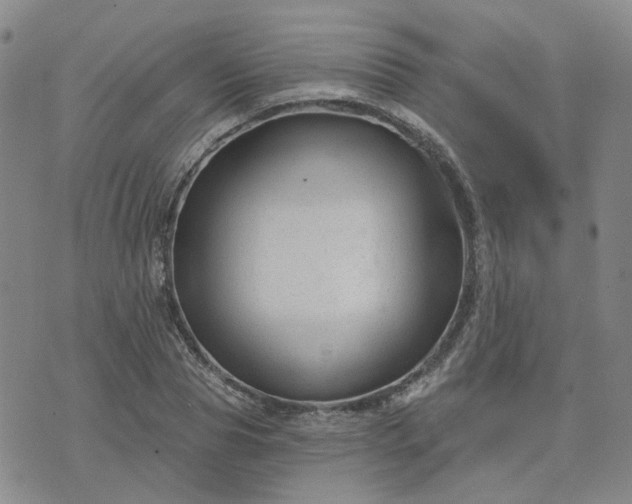 X0000076380929200610161111