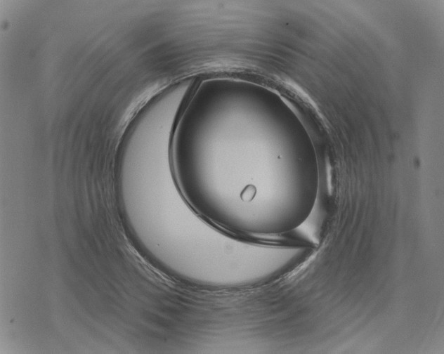 X0000076380930200610161111