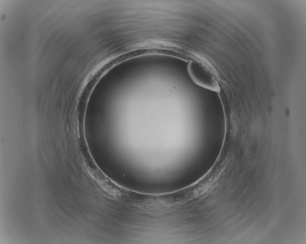 X0000076380931200610161111