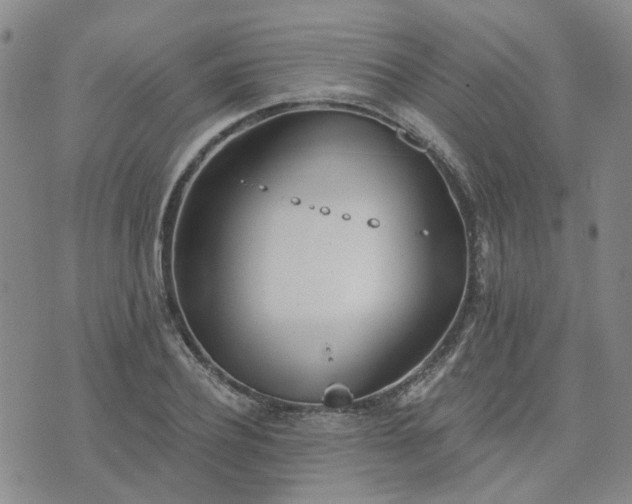 X0000076380932200610161111