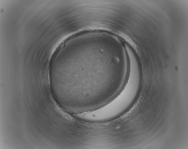 X0000076380934200610161111