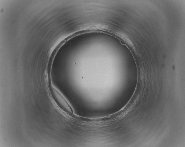 X0000076380936200610161111