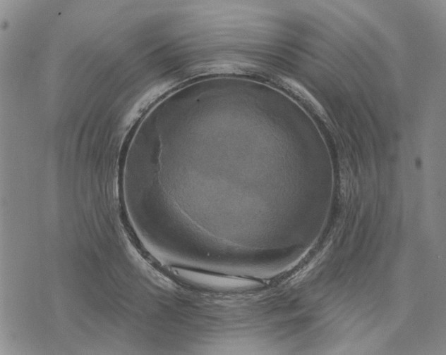 X0000076380938200610161111