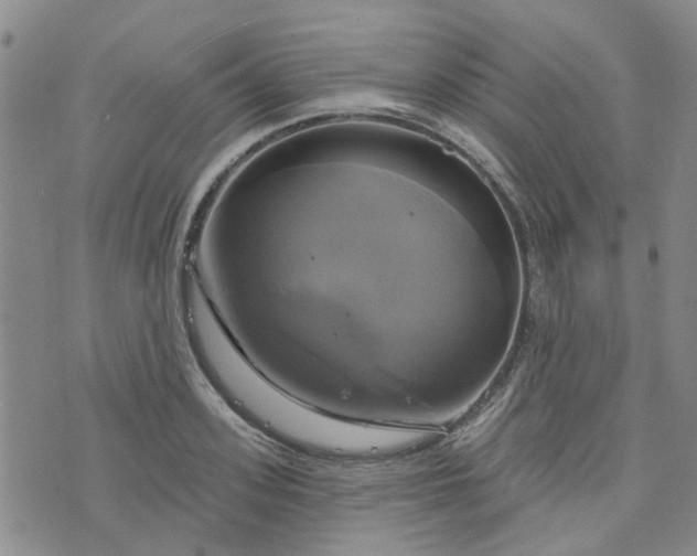 X0000076380939200610161111