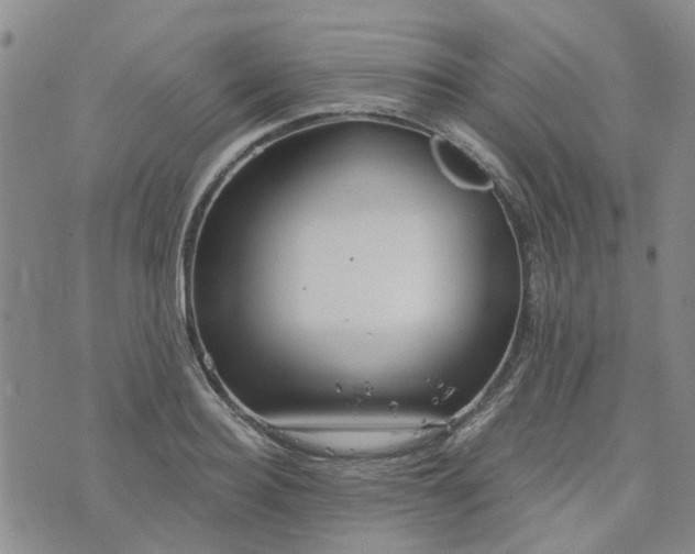 X0000076380940200610161111