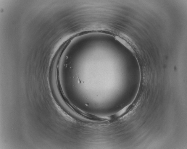 X0000076380942200610161111