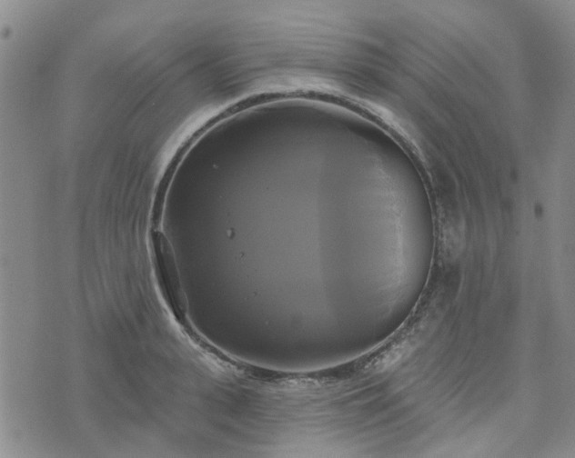 X0000076380943200610161111