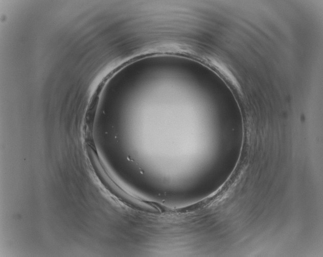 X0000076380944200610161111