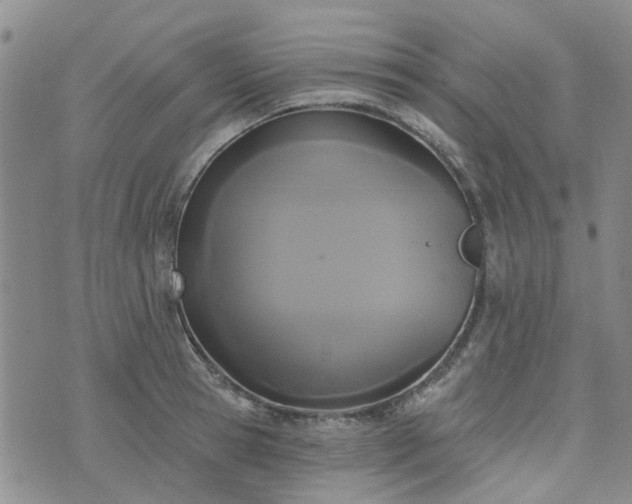 X0000076380945200610161111