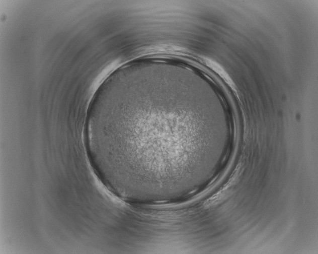 X0000076380946200610161111