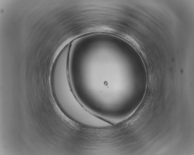 X0000076380947200610161111