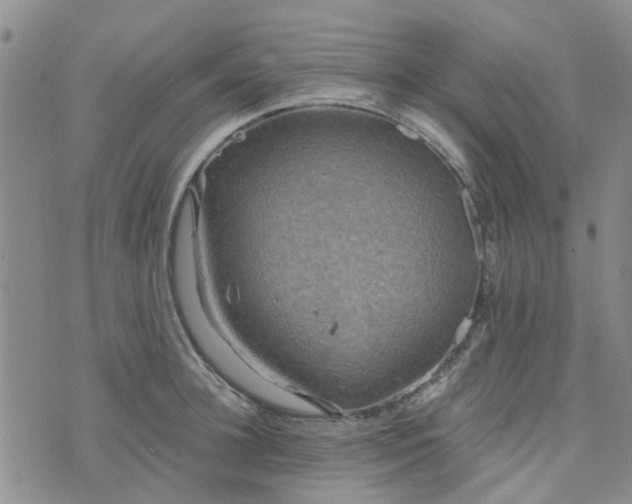 X0000076380948200610161111