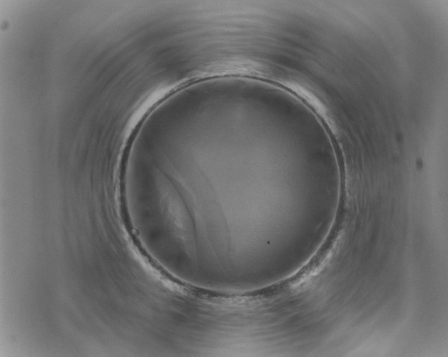 X0000076380949200610161111